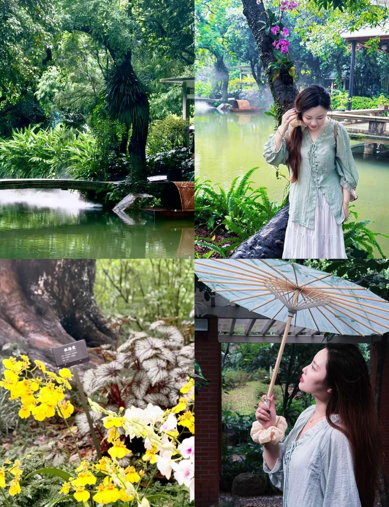 兰圃｜城市的新中式打卡地
应是绿意晓声浓 🌿
下雨天拍照📷也很美的地方～
?