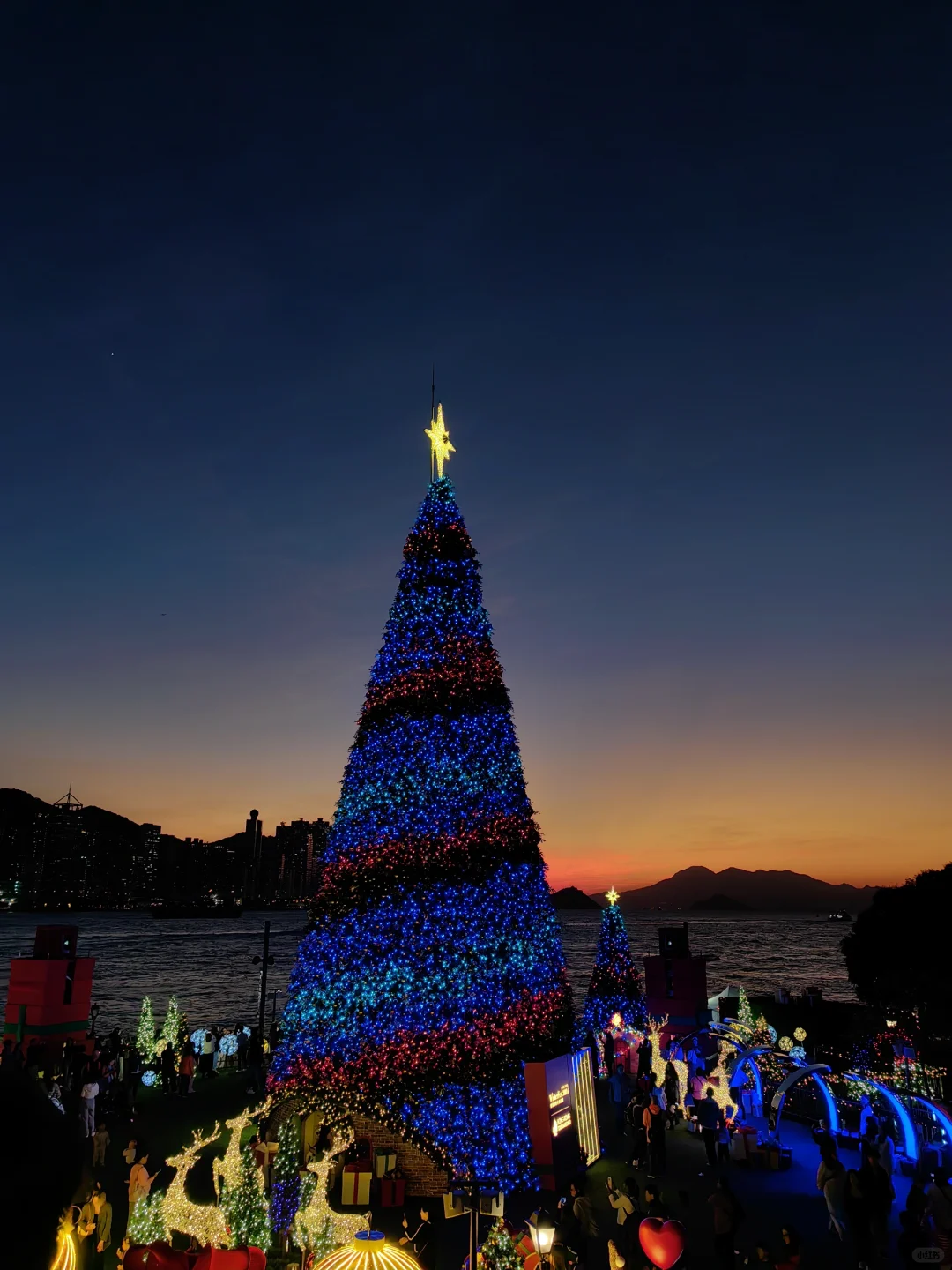 前方实况❗️11.28 香港西九龙的圣诞美哭了