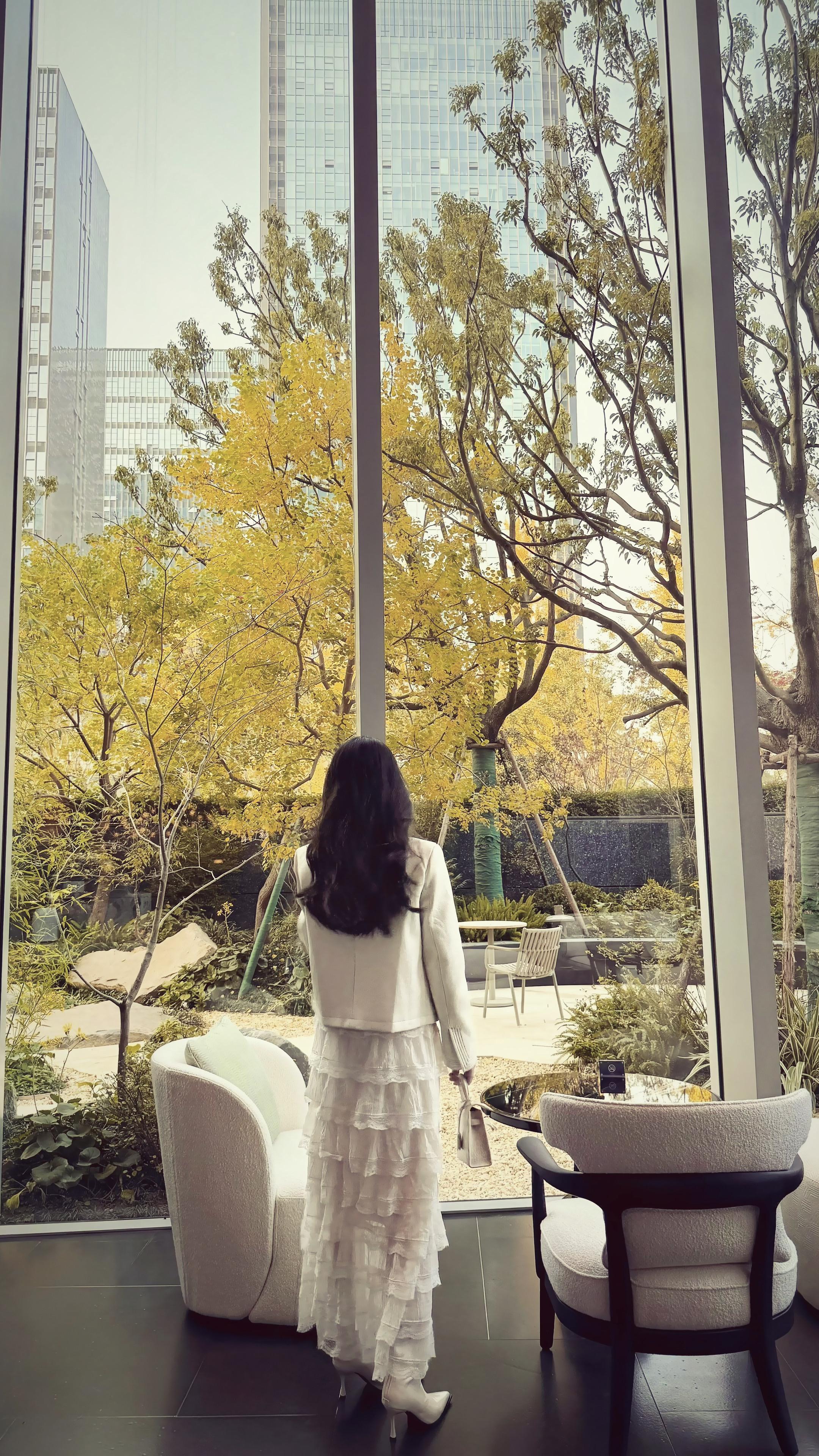 我无心和你一较高下  再见