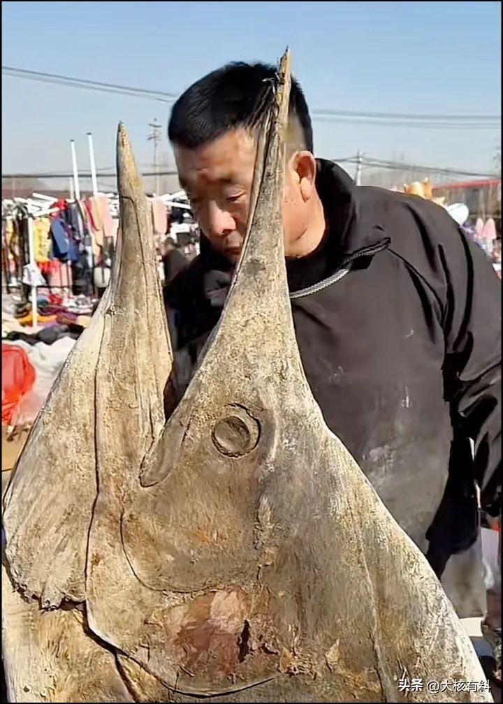 千年的“金枪鱼”

山东大集上的金枪鱼火出圈了，腥臭的腌鱼，吃上一口仿佛要把昨天