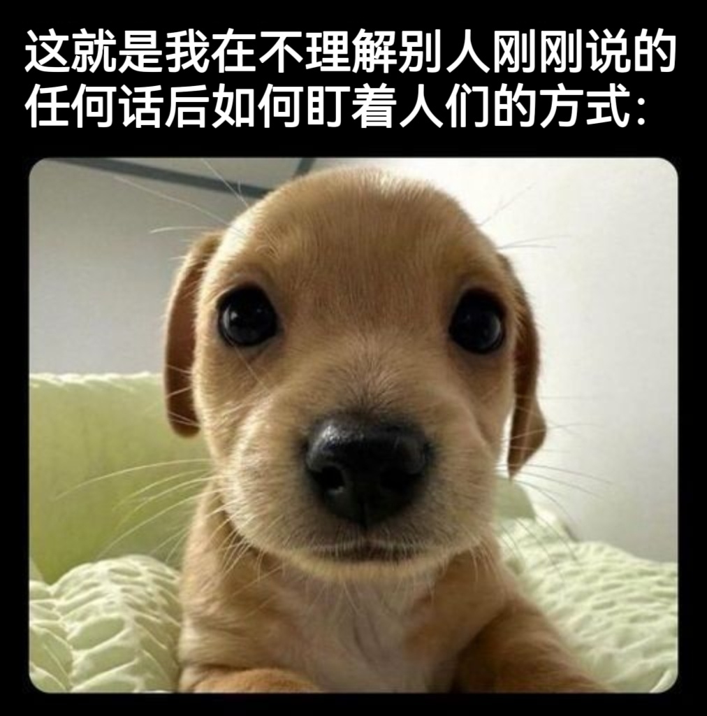 我就这样 