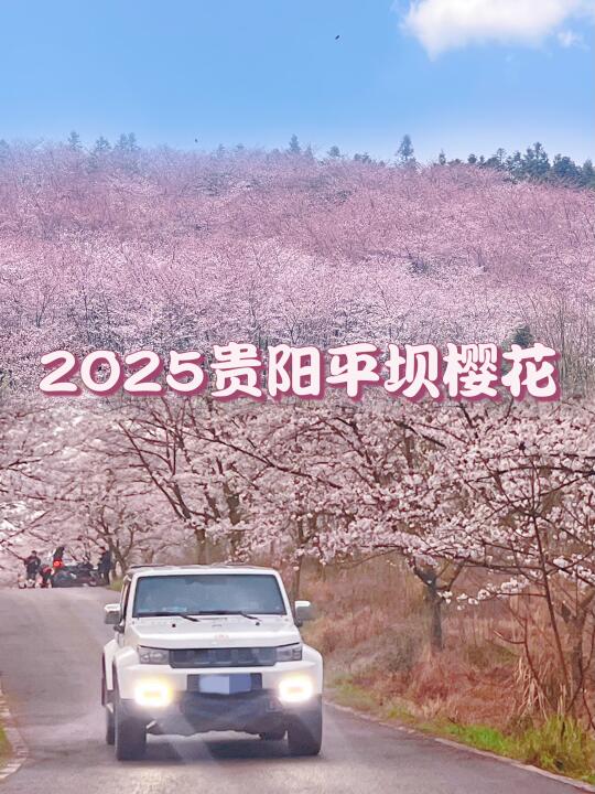 3.24实拍！贵阳平坝农场赏花实录