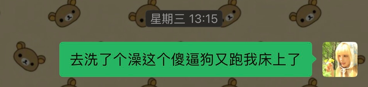 我的kiyomi，我的小可爱，我的小狗使
