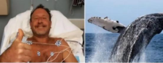 2021年，美国一男子在海底潜水捕捉龙虾时，突然被15米长的座头鲸整个吞下，本以