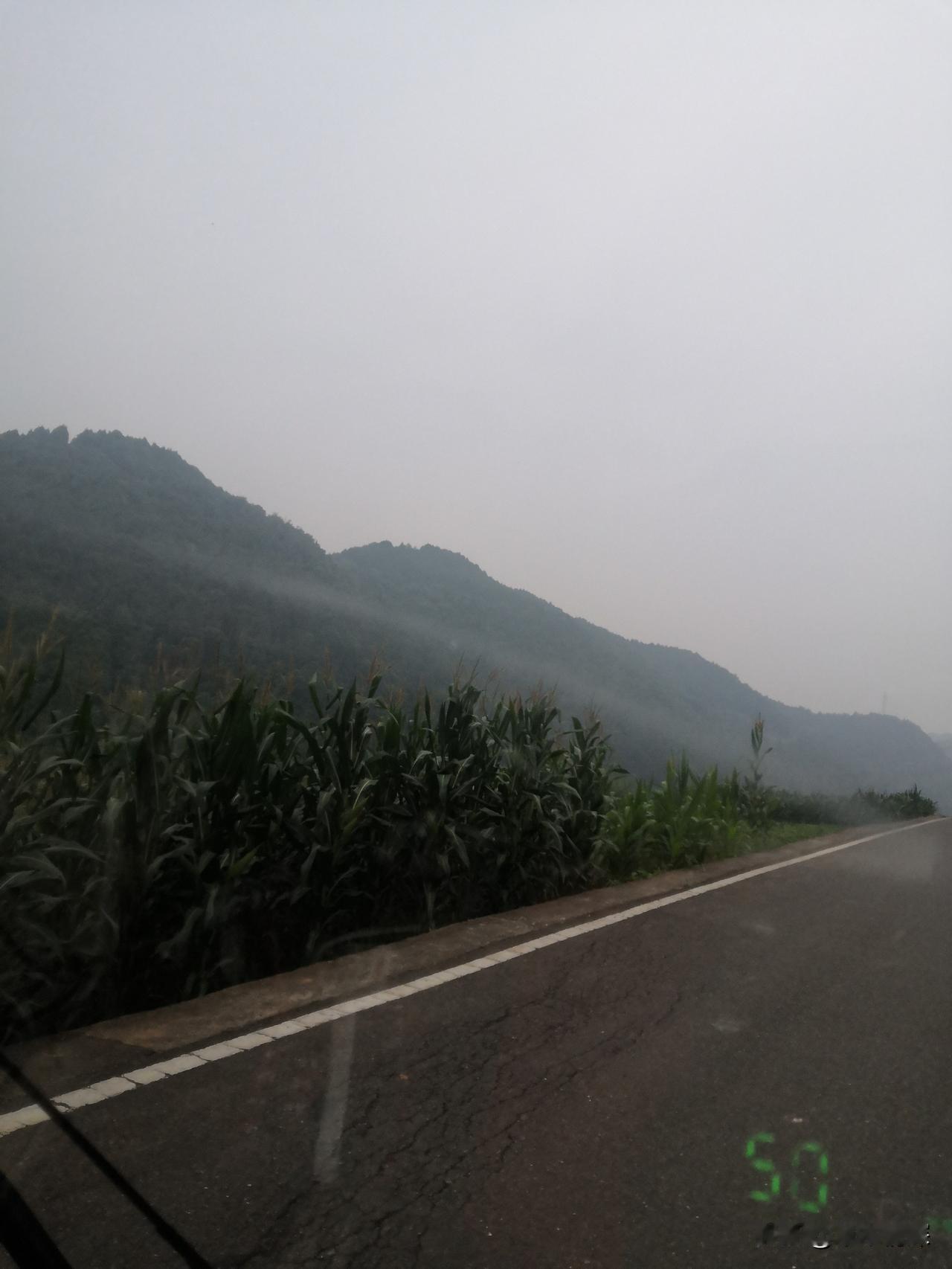 去黄继光英雄故乡的路上
第五集
三轮车已经来到了继广路上，从图片中可以了解到，道