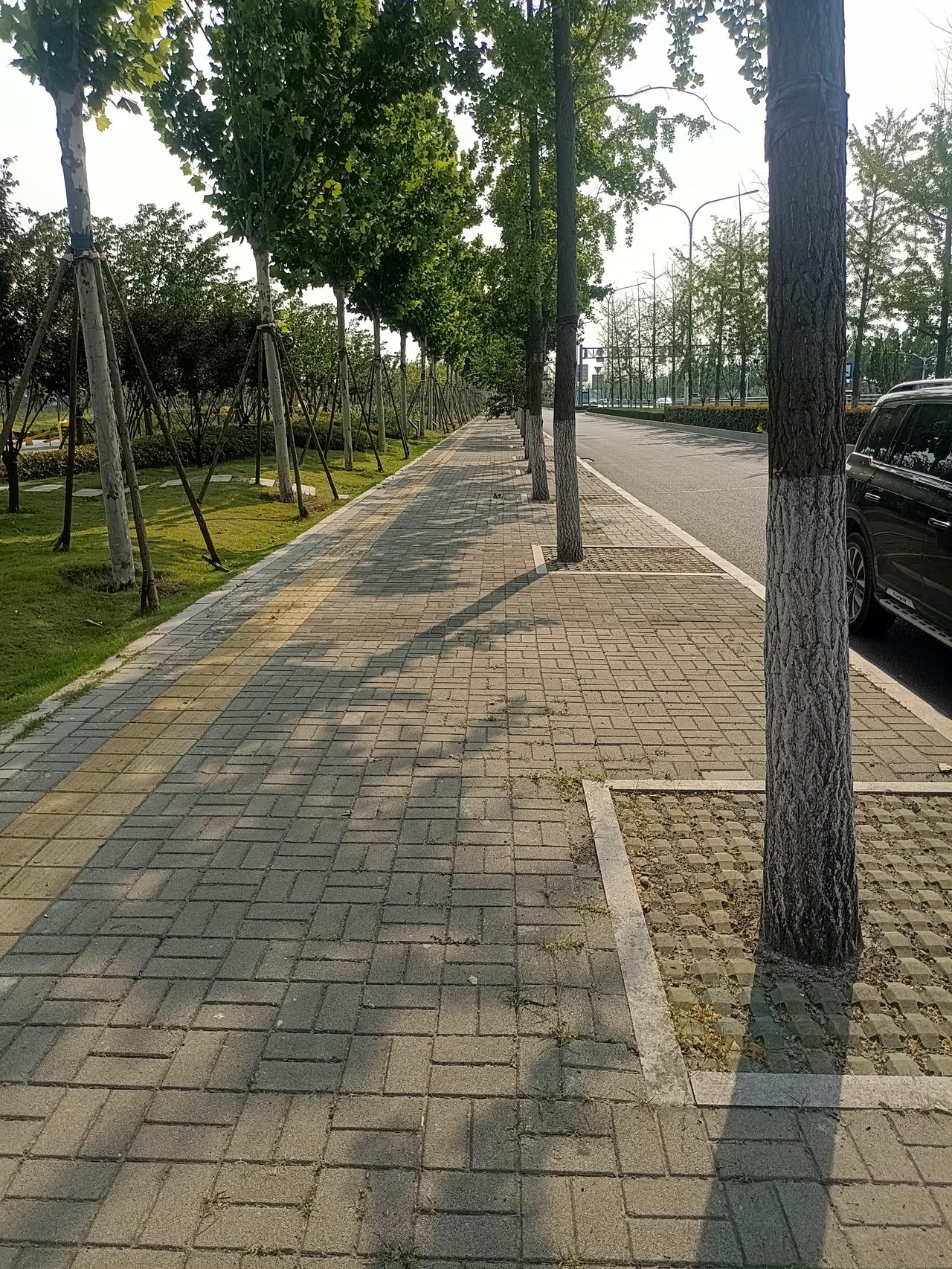 充满见识的一句话：你要相信，人生真的可以变得很好。当你拥有明媚、向上的生命活力的