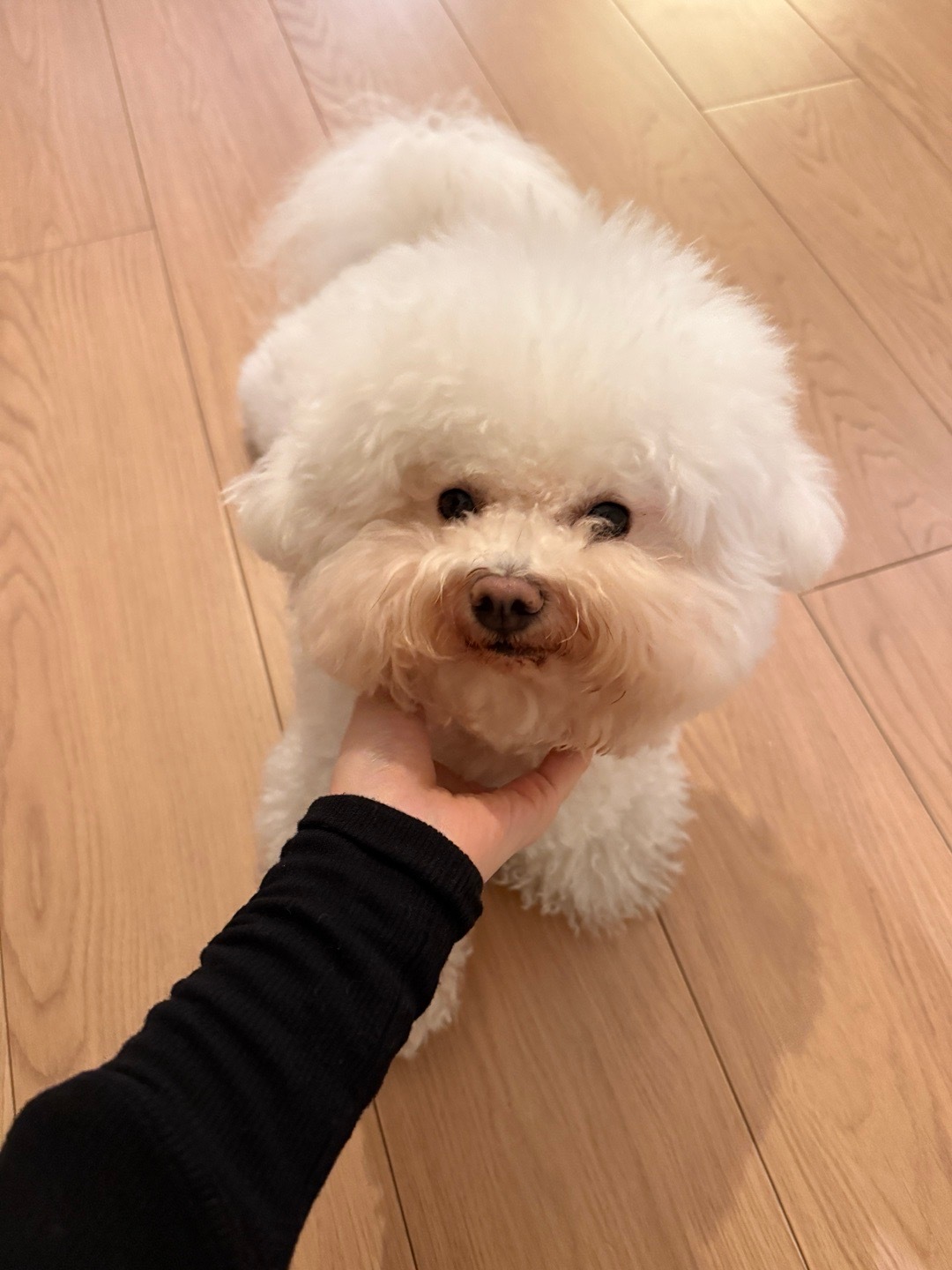 喜欢秩序感 ​​​