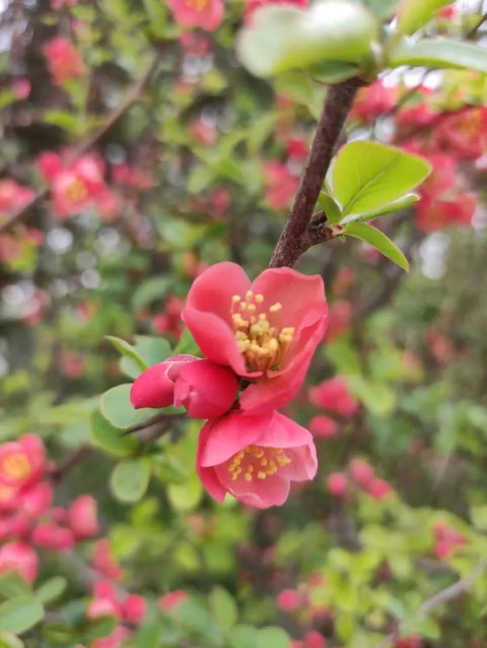 女人没有坏老公，
生活根本不轻松。
男人没有坏老婆，
日子过得更寂寞。
 
女人