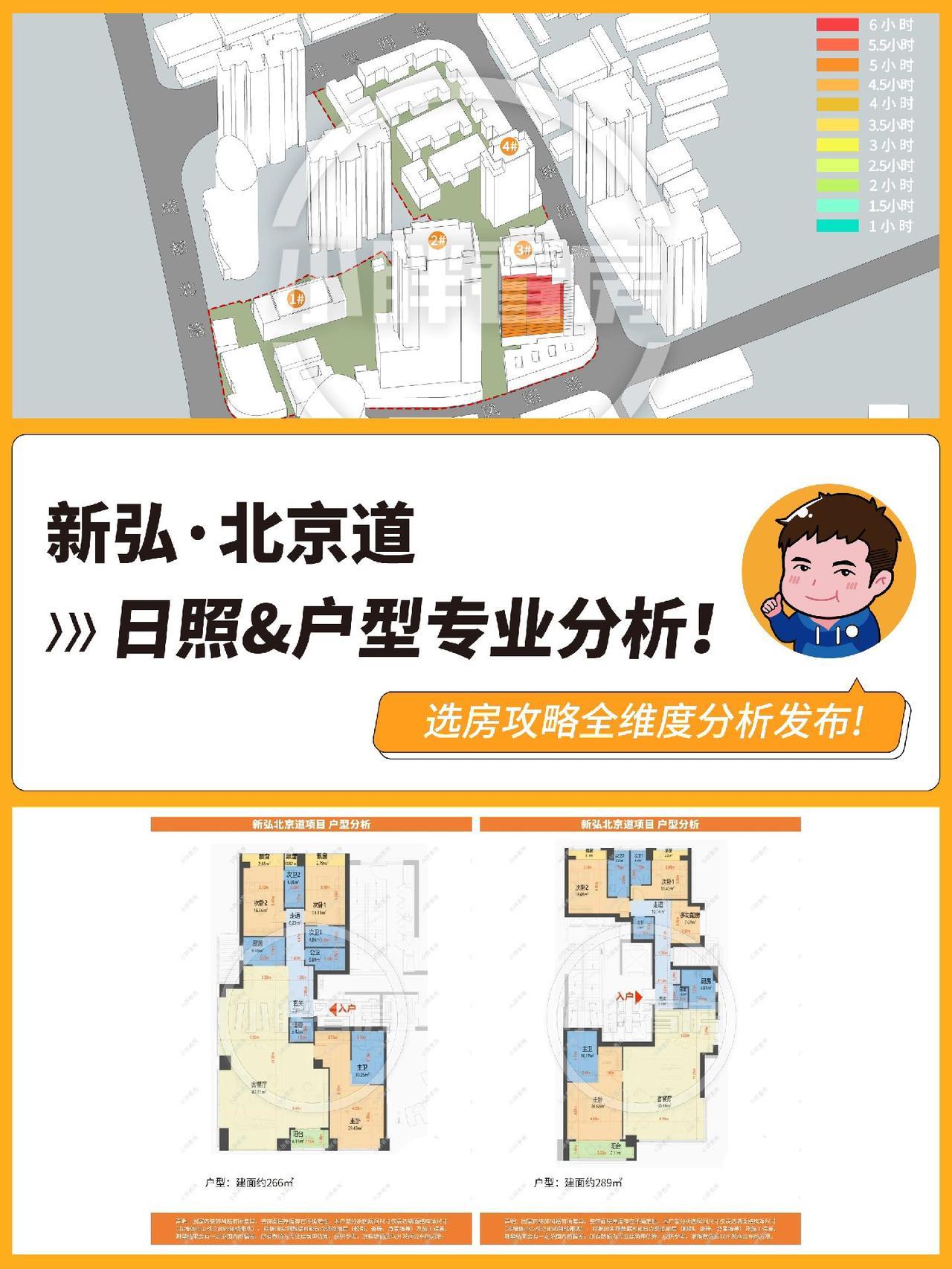 新弘·北京道日照&户型专业分析！上海买房 上海新房 上海楼市@小胖看房直播精选 