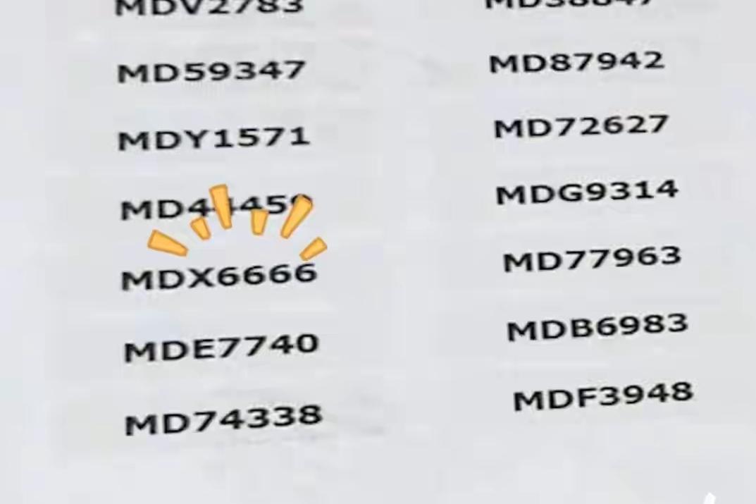 夫妻选车牌随手摇出6666，这个能不能值钱
9月16日，在江苏一对夫妻在机动车自