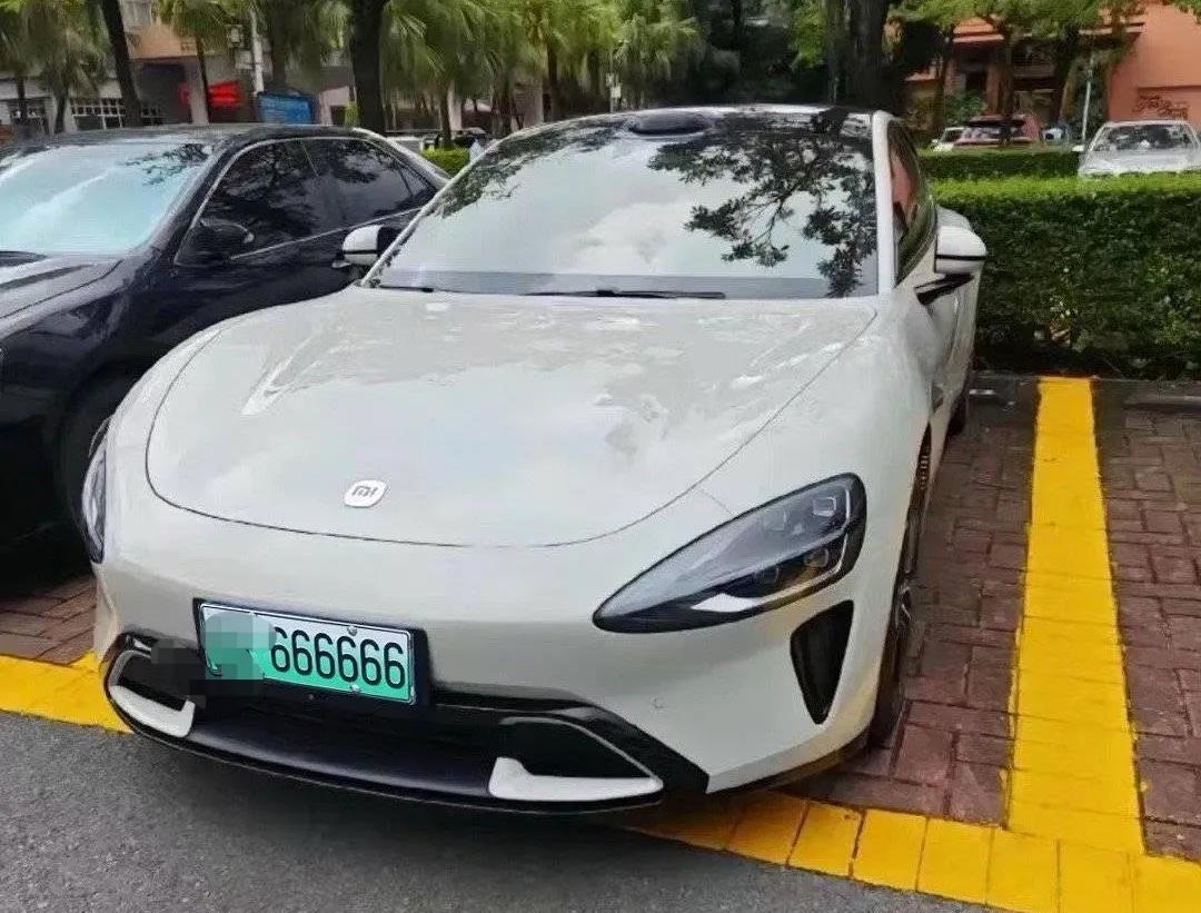 网友：电车豹子号，也赶不上蓝牌吧？