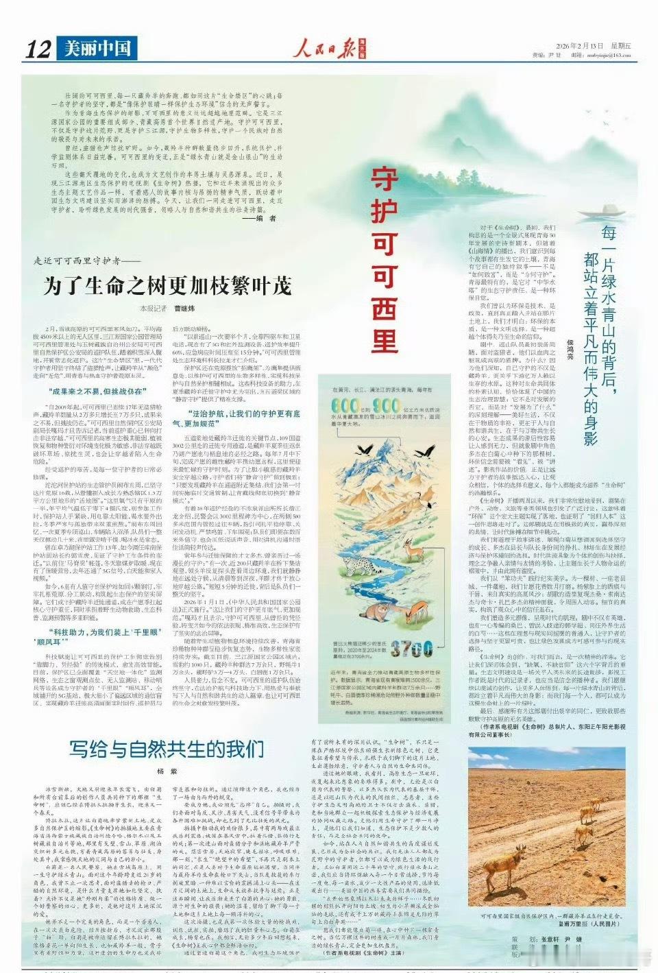 杨紫优秀，人民日报海外版撰文！！ 