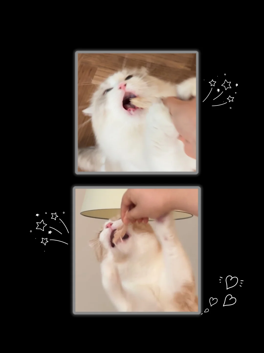 Cp头像这不就有了