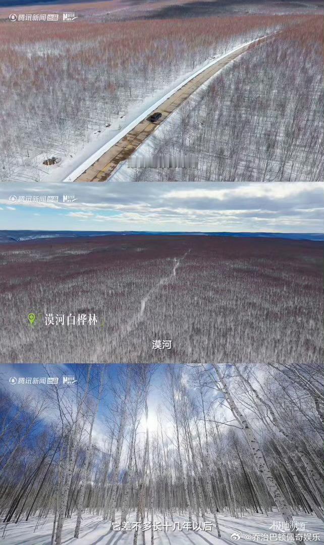 华晨宇蔡徐坤同款取景地找到了感受少数民族生活智慧，鄂伦春人巧用白桦树制作器物工艺