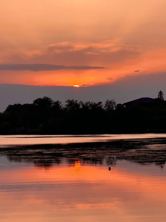 成都就是巨大的lalaland…...浪漫哭了😭