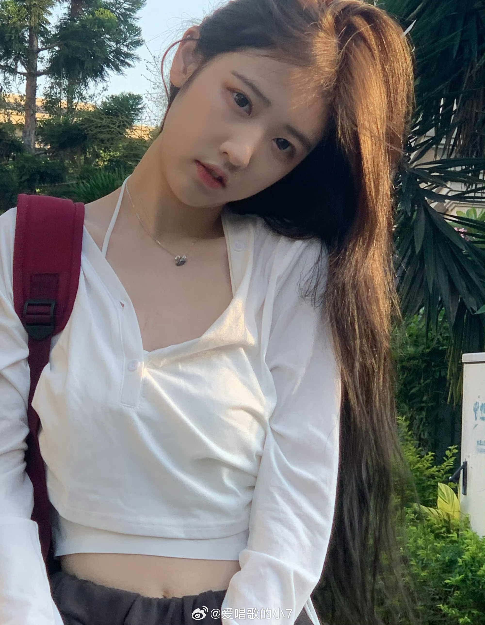 我今天看到一个耀祖家庭的女生发了自己家的照片，她家是五个姐姐一个弟弟，结果评论里