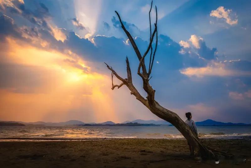 真正有风骨的人，往往并不显眼，他们的人生很少喧哗，却总在要紧处留下难以忽略的印记