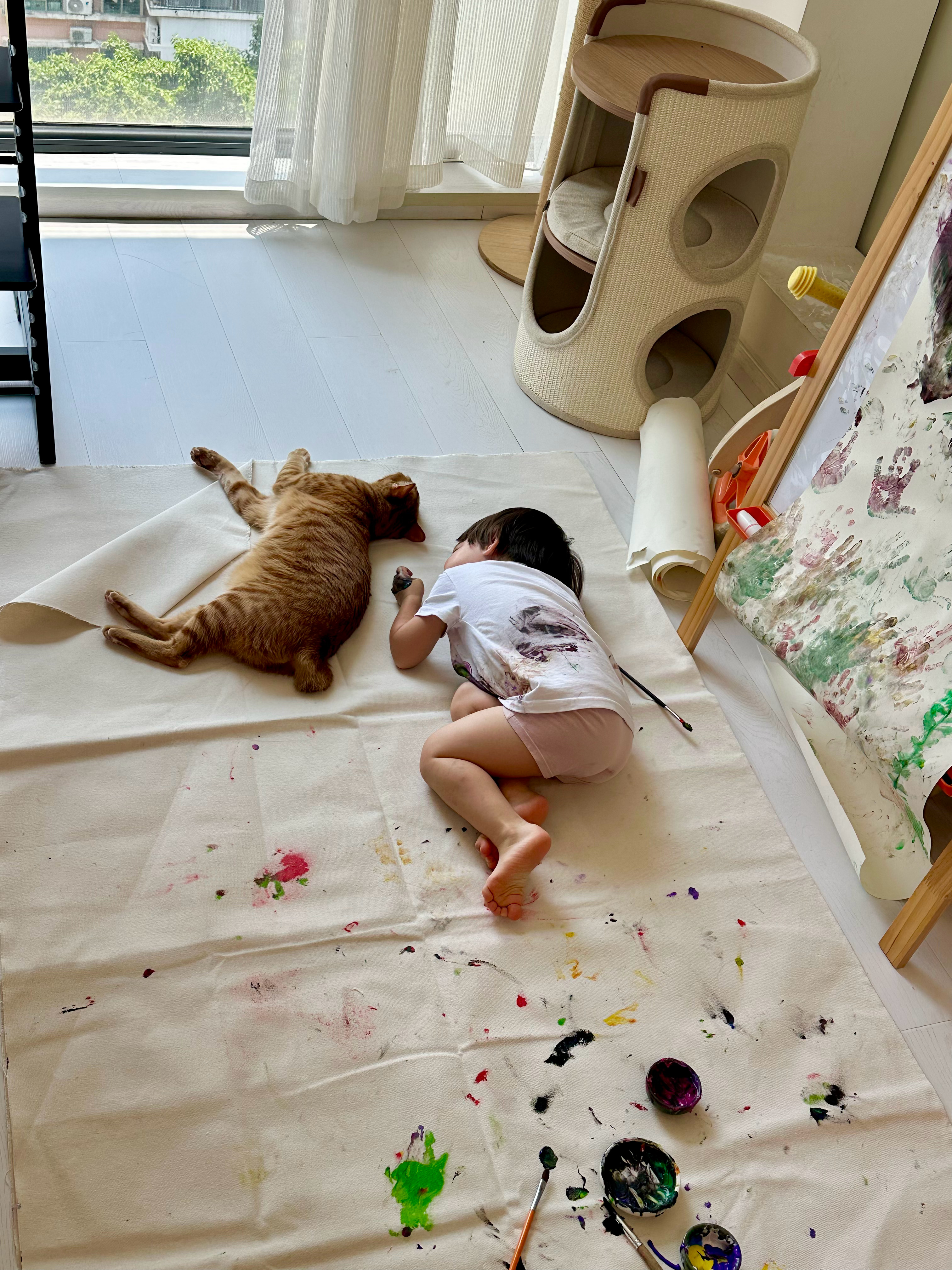 绝了，两只小猪。 