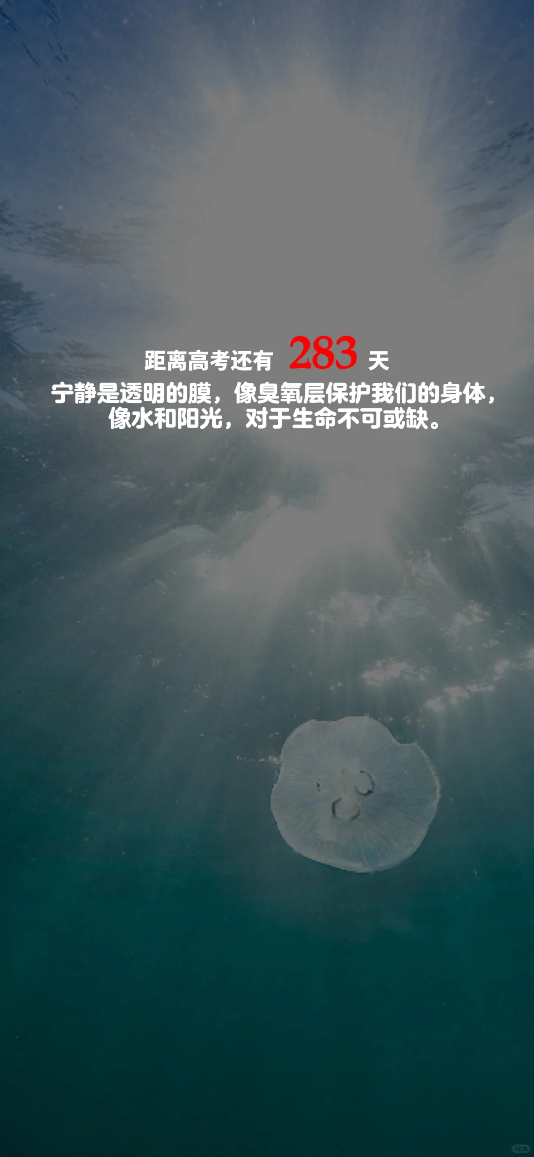 2025高考倒计时，每日更新。