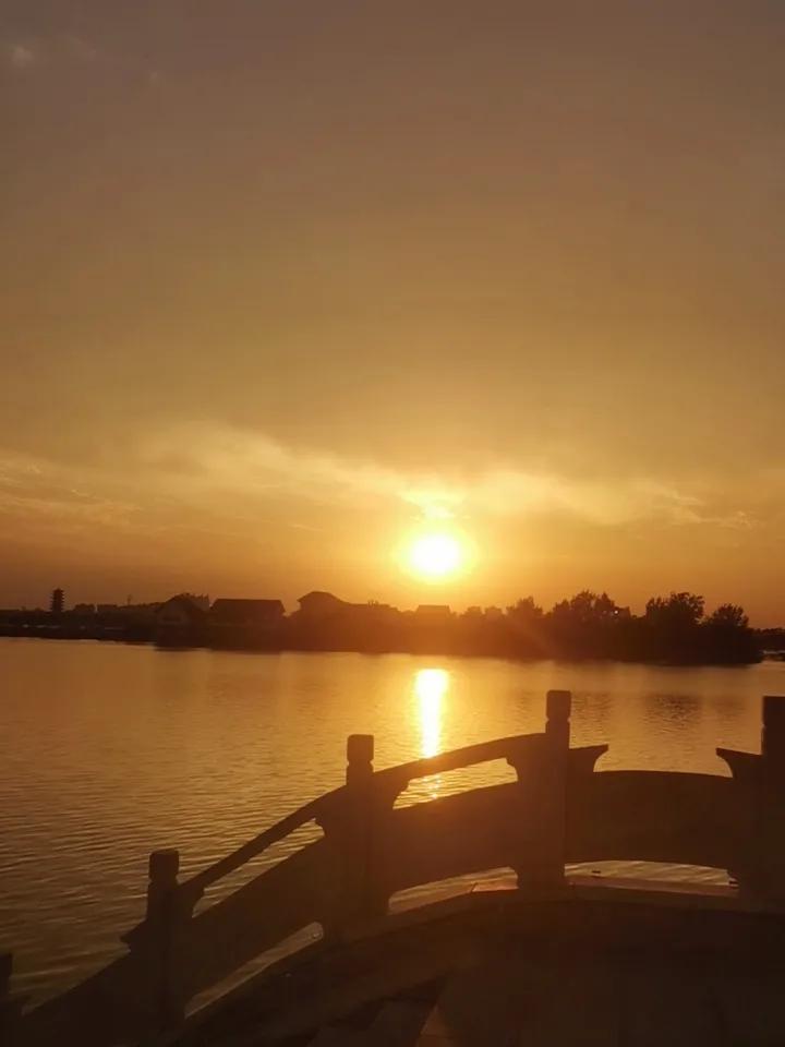 夕阳西下，撒下万朵金花！🥀🥀🥀