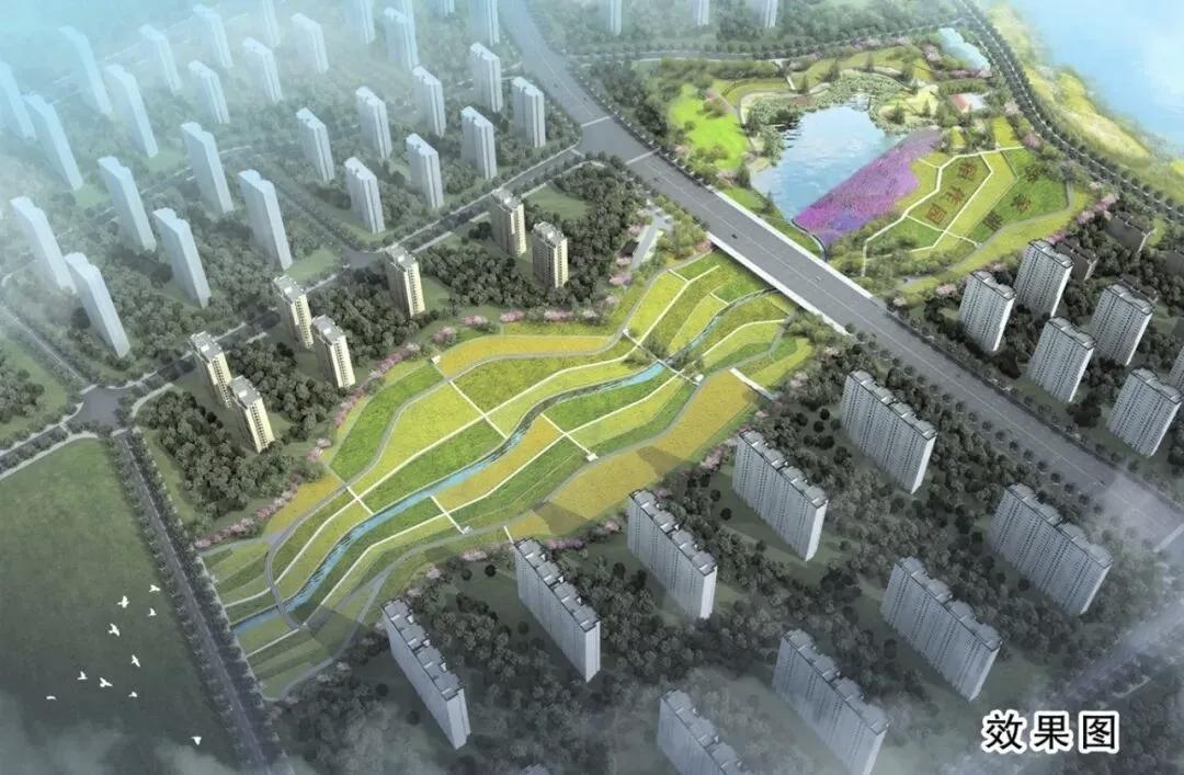 雏形初现！望城李家湖城市稻田公园加速建设 都市田园新地标即将亮相
 
春日植绿施