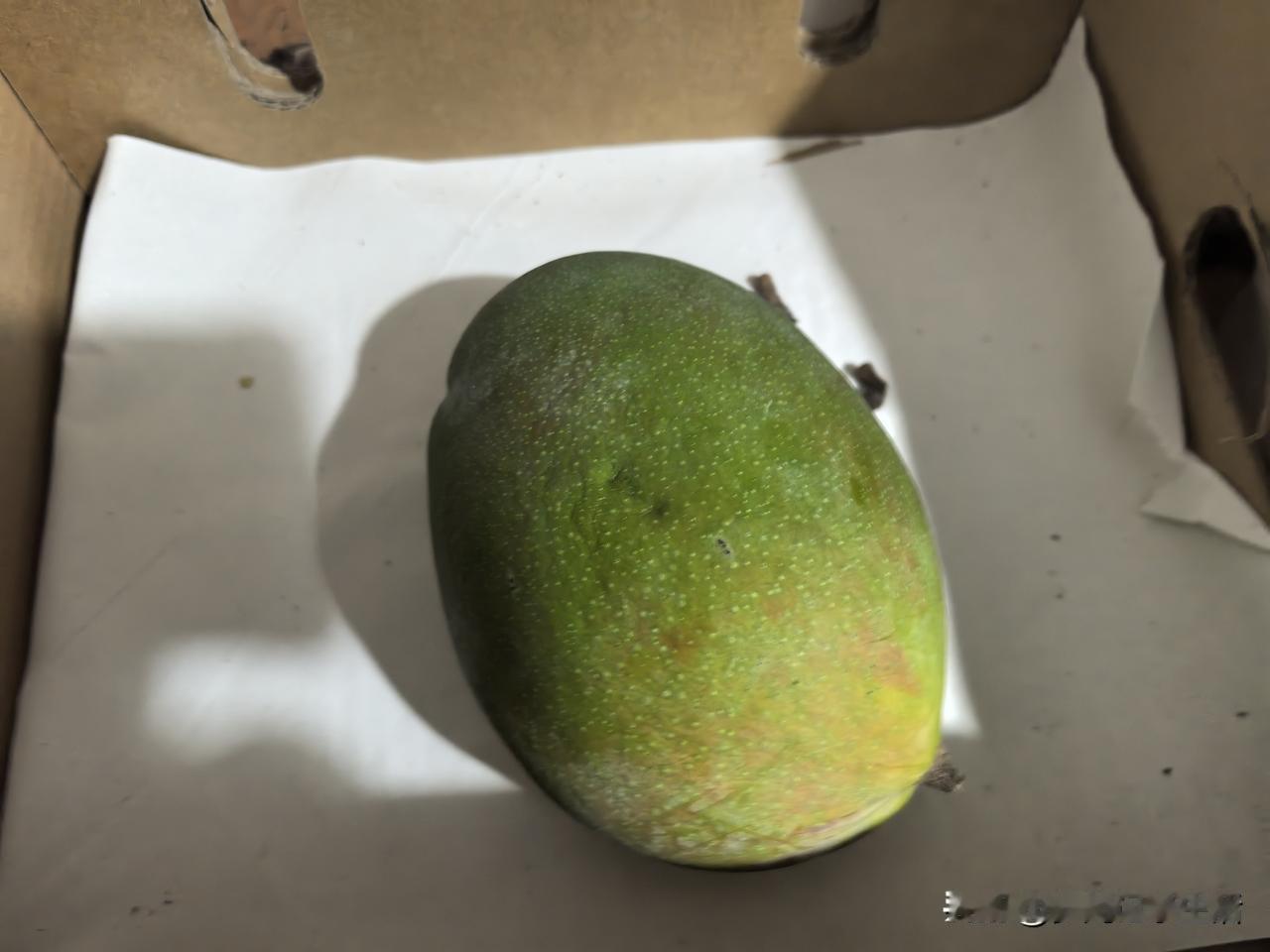 妹妹给的四个芒果终于还是一个个慢慢软了，因为摘得太早即使软了也不是很甜，带着微微