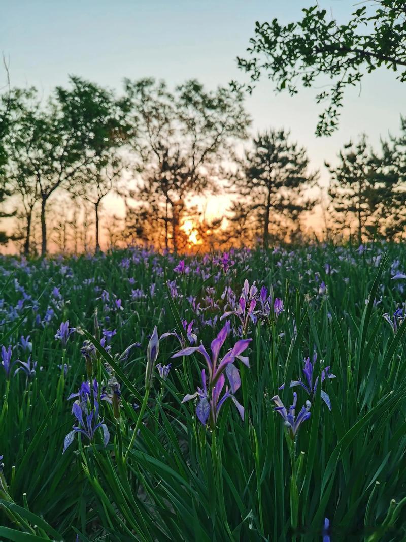 让每一个新的一天充满希望🌞记录生活