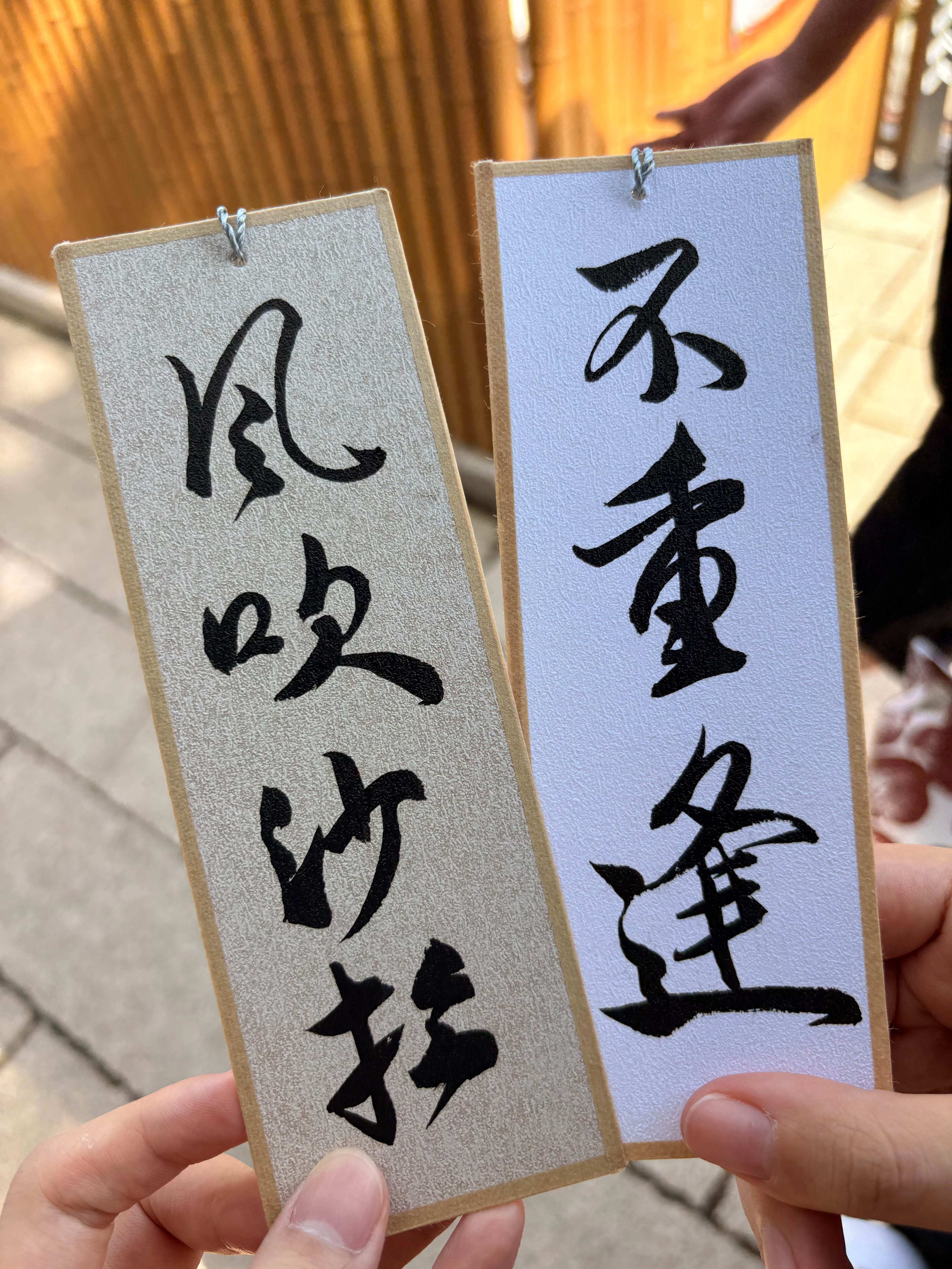 来看熊猫遇到火星姐了