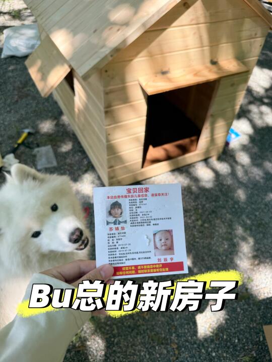 Bu总的新房子