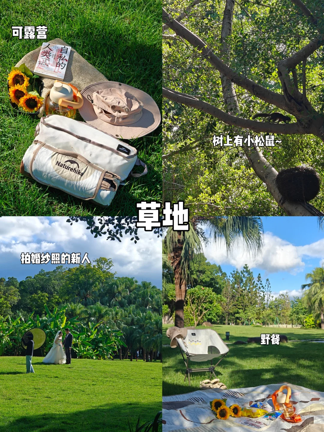左海公园虽老🎡露营刚好（附citywalk路线
