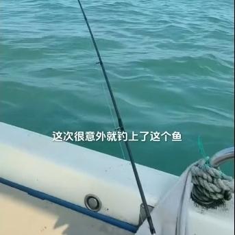 浙江一女子在嵊山岛钓上2.8斤野生大黄鱼，当事人：当晚直接和朋友吃掉！网友：这运