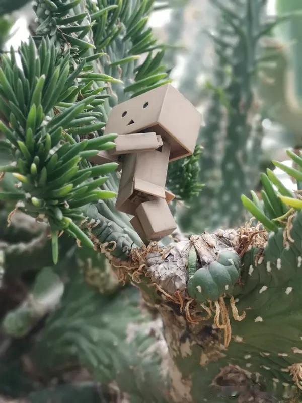 植物人是什么感觉，很难说清。医学上，植物人保留呼吸、心跳等基本生理功能，认知和意