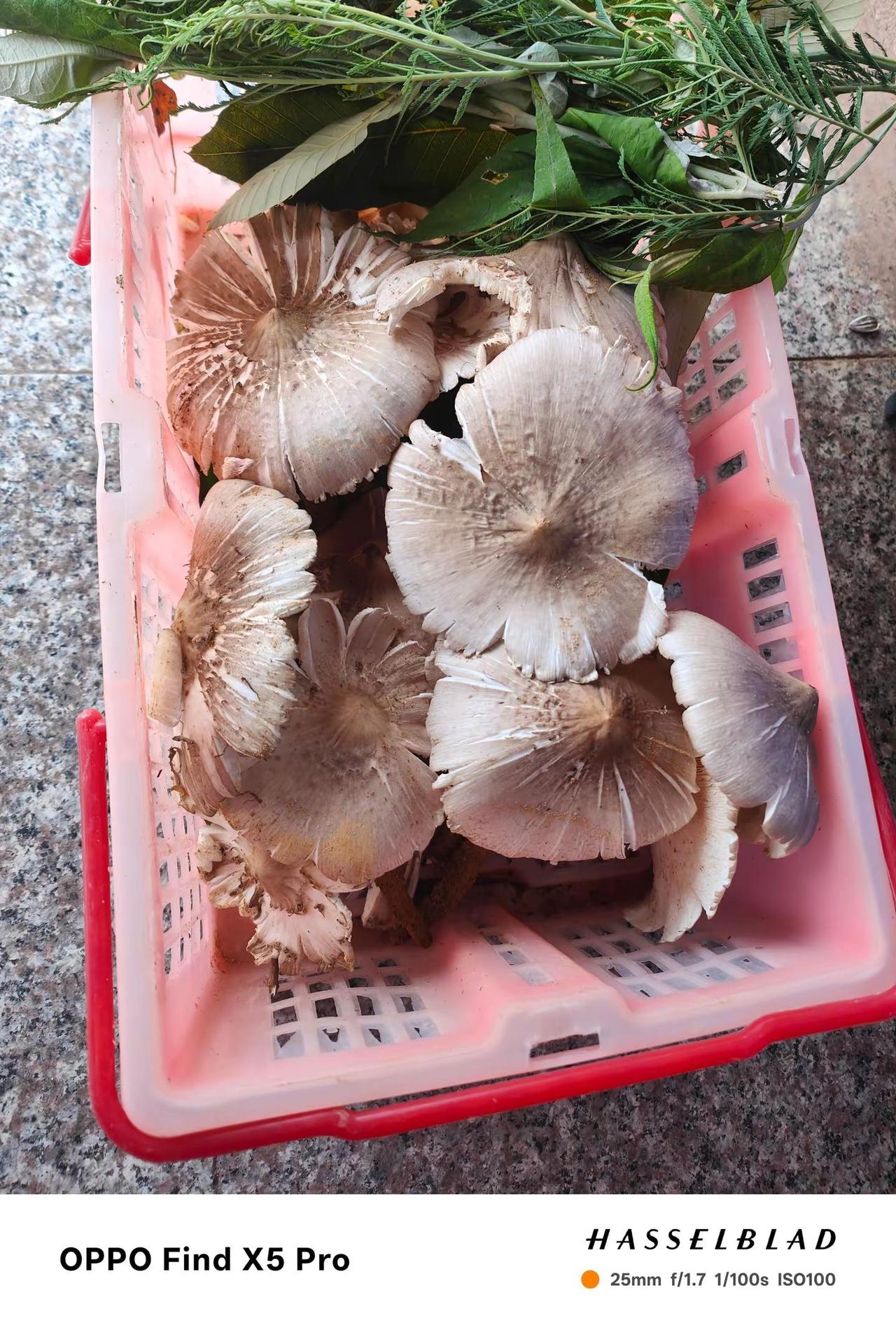 运气也是实力的一部分。
