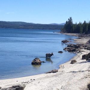 溪谷中遇见明月