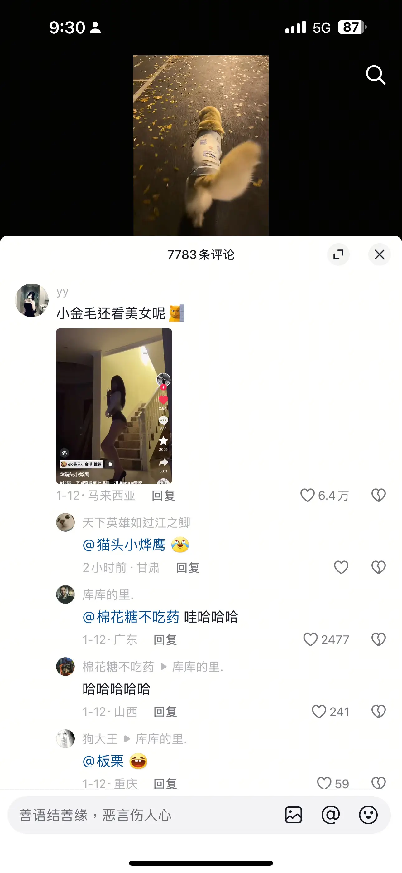 谢谢你 小金毛🥲