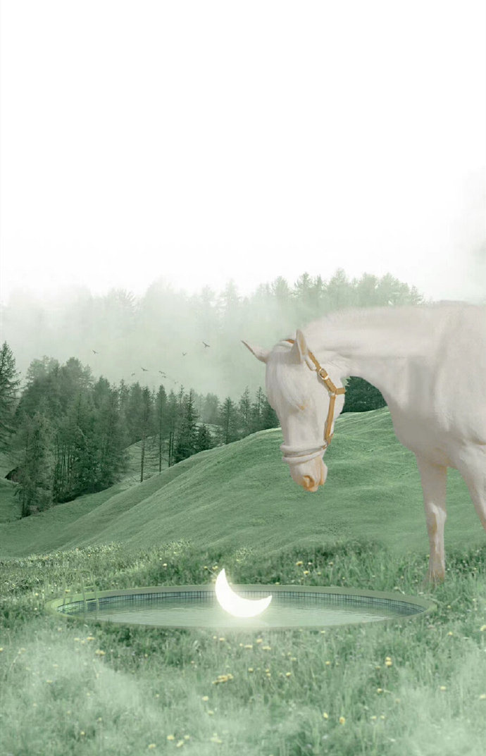 为什么要每天都跑步?为什么每天都会写点东西?为什么睡前都要看书?因为大多数人都没