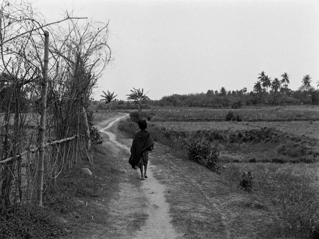 晚安🌙今天是萨蒂亚吉特·雷伊忌辰34周年。图：《大地之歌》萨蒂亚吉特·雷伊（1
