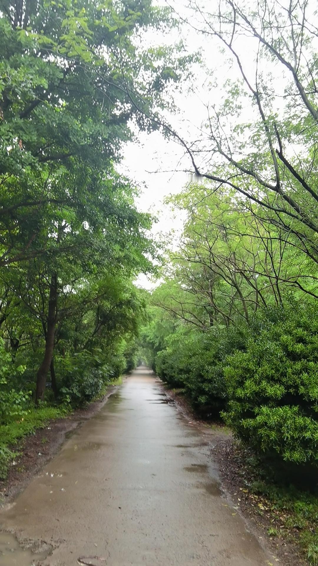 [烟花][烟花]一大早打卡茂盛的林间小道，只为呼吸着清新的空气。可也有人认为，夜