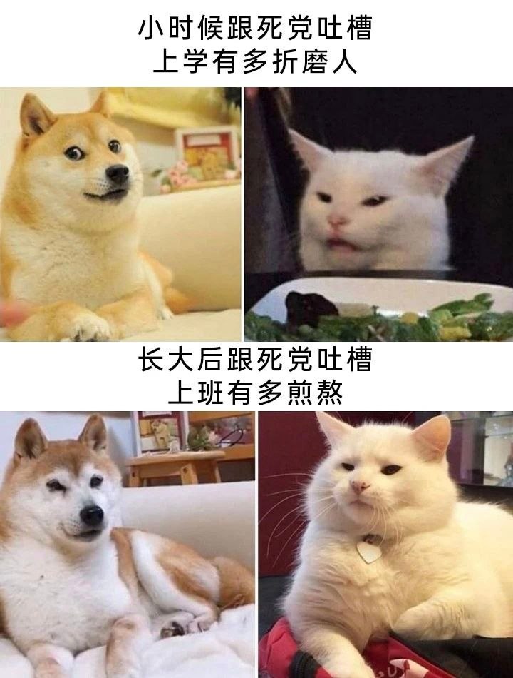 完全是我 