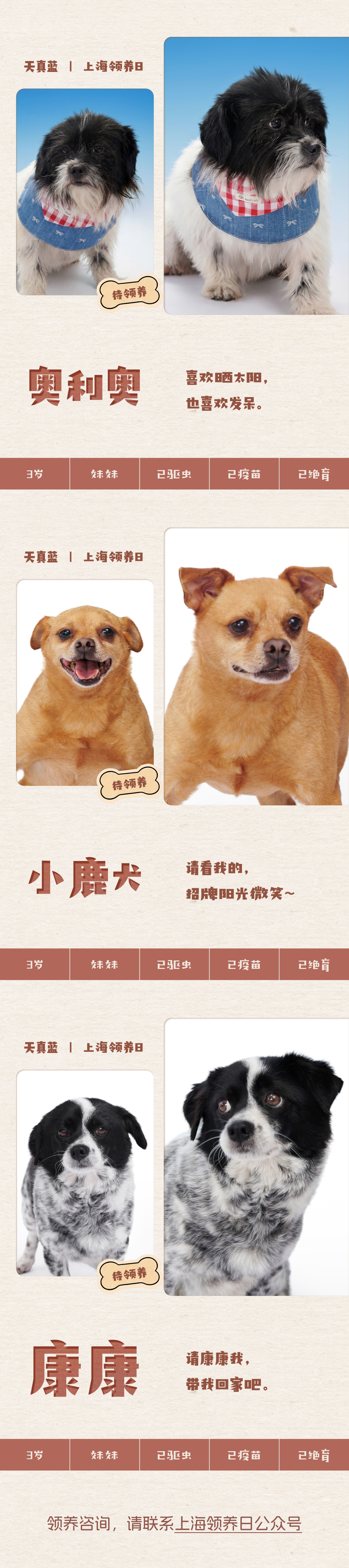 天真蓝携手 