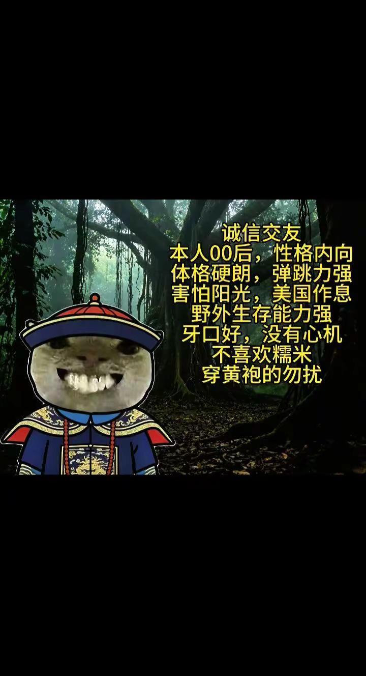 老大，我们真能交到朋友吗？美国作息 深夜文案