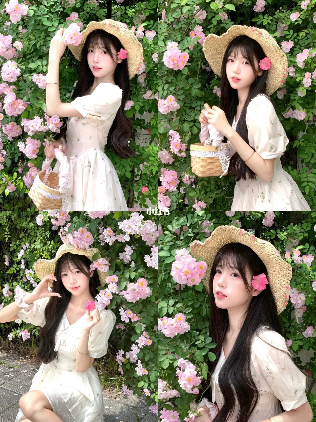 韩系蔷薇花墙拍照姿势来咯！🌸
