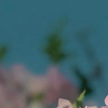 每日一善 每日一善 阳光信用 以热爱祖国为荣，以危害祖国为耻 以服务人民为荣，以