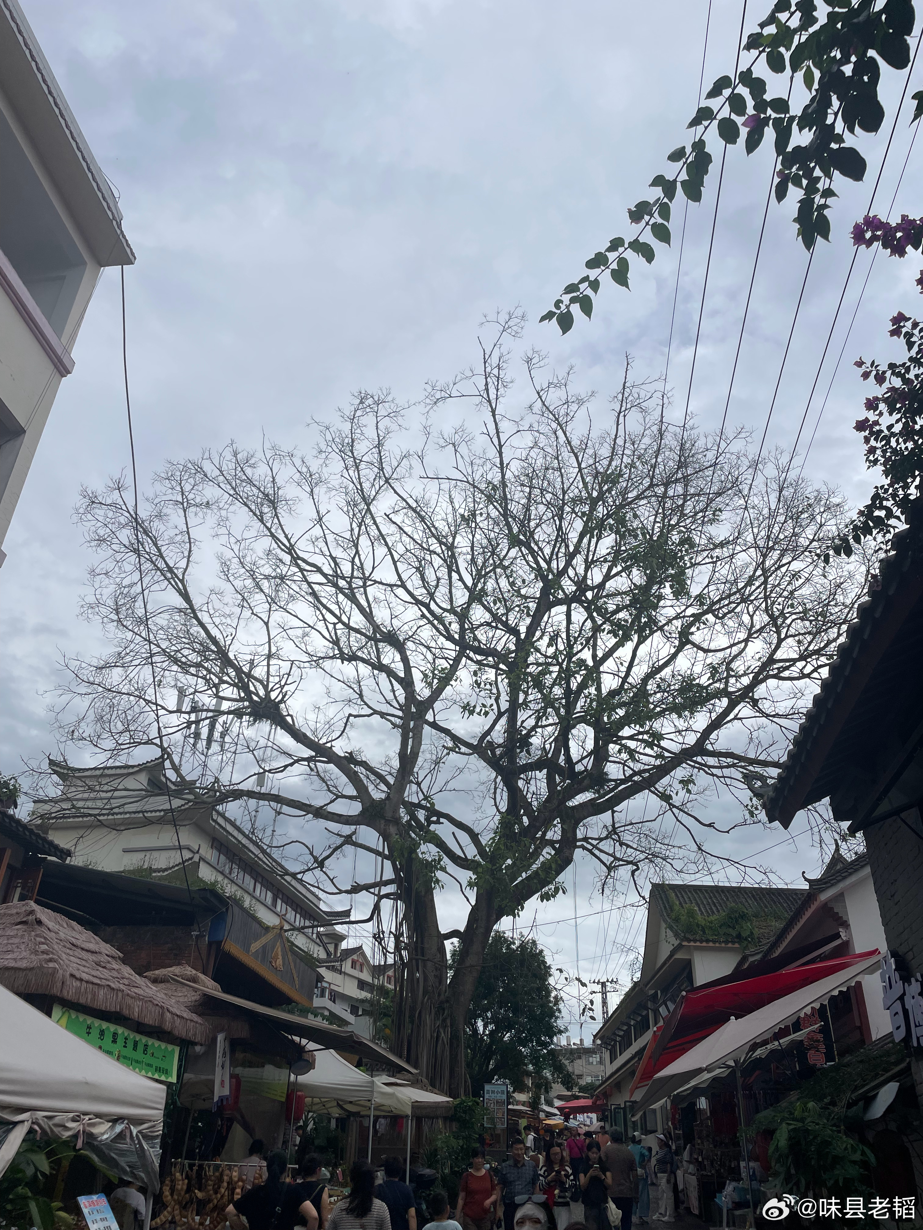 无论是原来的思茅还是现在的普洱，这里才是宜居城市节奏慢，消费合理，暖风熏的游人醉
