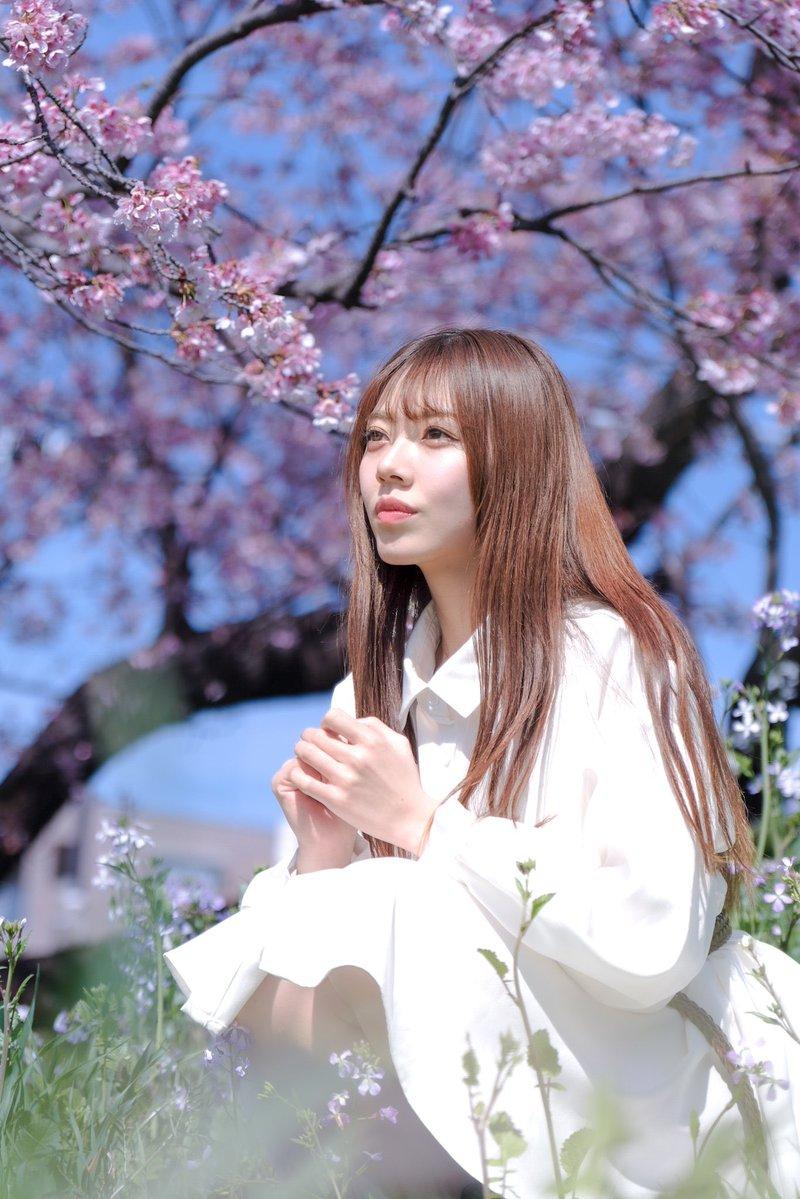 一天中日出后、日落前1个小时左右拍照最美。就像我去地坛拍银杏，选在傍晚太阳下山前