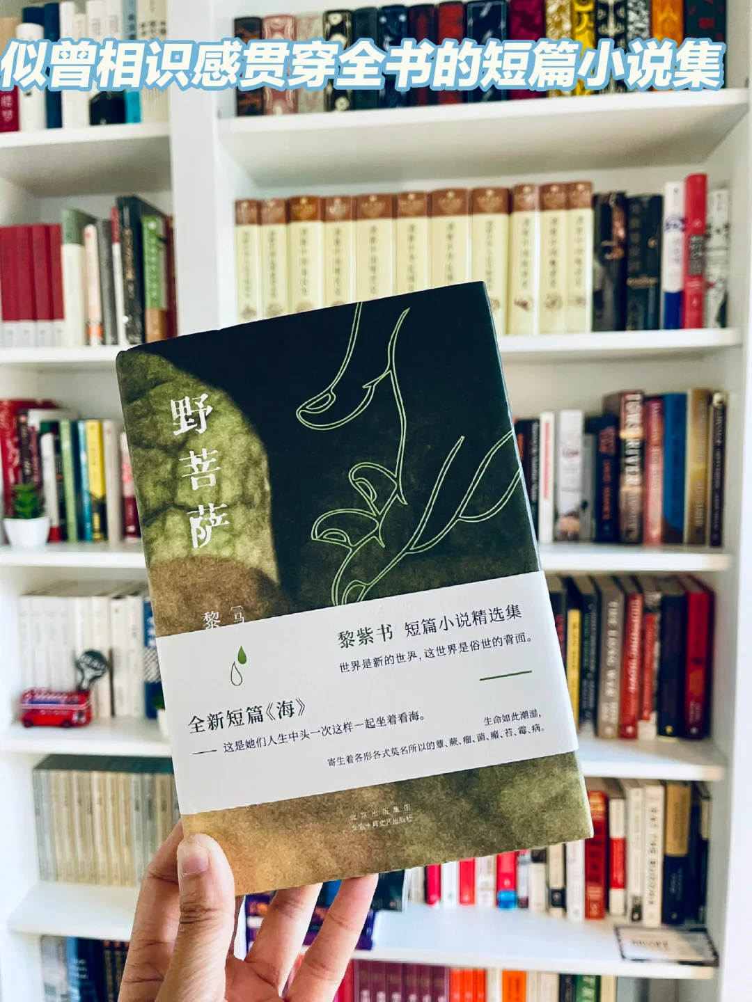 读后｜黎紫书的野菩萨,似曾相识感贯穿全书
