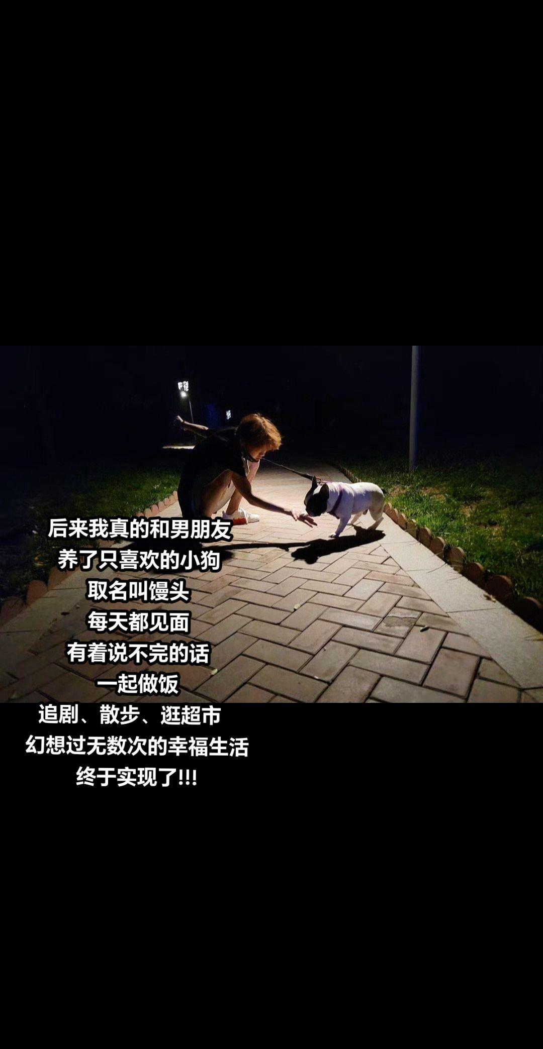 我幻想中的生活