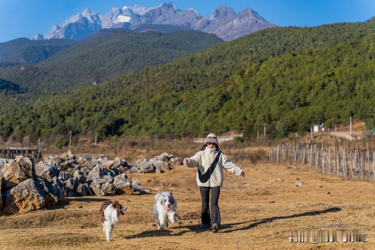 🏔️

山前山后都是风景
有风无风都很自由