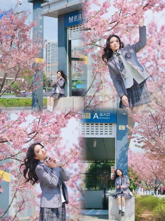3月17日实拍 樱花🌸地铁直达 人少巨出片📷