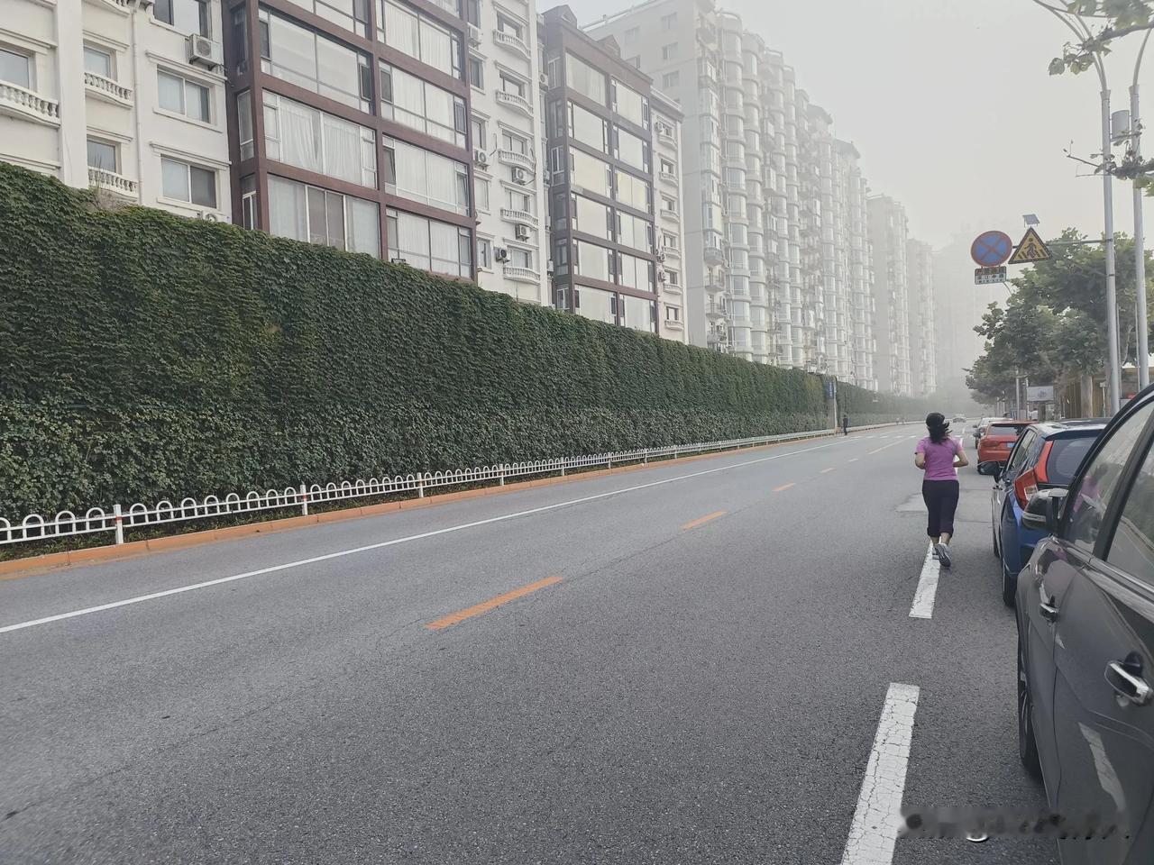 这就是丹东近百年来一直默默无闻为丹东市挡风遮雨，防洪抗涝的防洪大坝。
丹东市地处